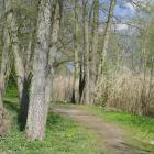 zdjęcie nr 33
