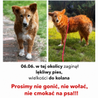 Fotka nr 0 z 5