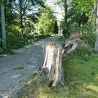 zdjęcie nr 147