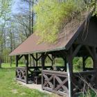 zdjęcie nr 46