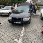zdjęcie nr 12
