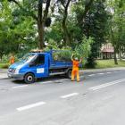zdjęcie nr 19