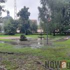 zdjęcie nr 15