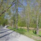 zdjęcie nr 68