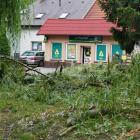 zdjęcie nr 9