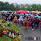 zdjęcie nr 37