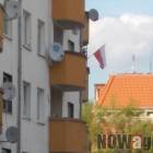 zdjęcie nr 9