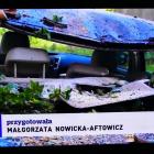 zdjęcie nr 193