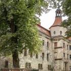 zdjęcie nr 9