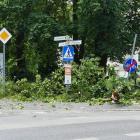 zdjęcie nr 15