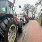 zdjęcie nr 12