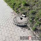 Fotka nr 1 z 5