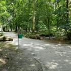 zdjęcie nr 33