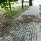 zdjęcie nr 45