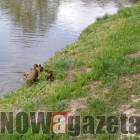 Fotka nr 4 z 7