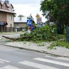 zdjęcie nr 19
