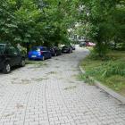 zdjęcie nr 52