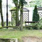zdjęcie nr 47