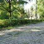 zdjęcie nr 143