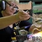 Fotka nr 3 z 11
