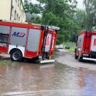 zdjęcie nr 35