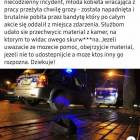 Fotka nr 0 z 1