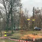 Fotka nr 1 z 5