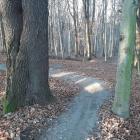 zdjęcie nr 9
