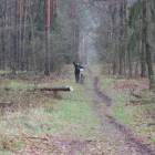 zdjęcie nr 90