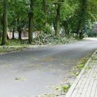 zdjęcie nr 10