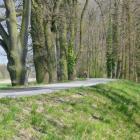 zdjęcie nr 43