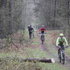 zdjęcie nr 96
