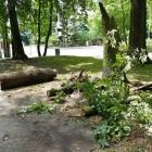 zdjęcie nr 30