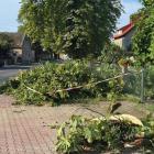 zdjęcie nr 18