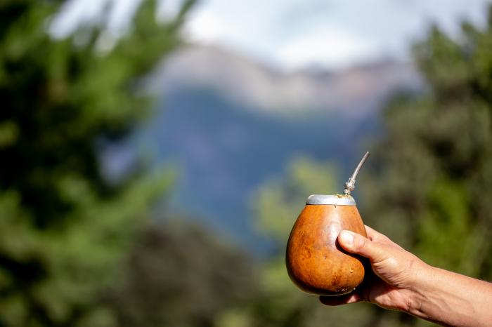 yerba mate - jakie ma właściowości