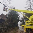 zdjęcie nr 