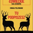 zdjęcie nr 