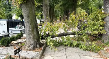 Idziesz na cmentarz. Czy jest tam bezpiecznie?