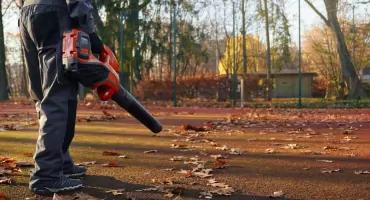 Jak wybrać odpowiednią dmuchawę do liści? Przewodnik