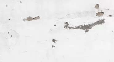 Poradnik: Skuteczne osuszanie budynków na Dolnym Śląsku — jak zadbać o suchą i bezpieczną przestrzeń