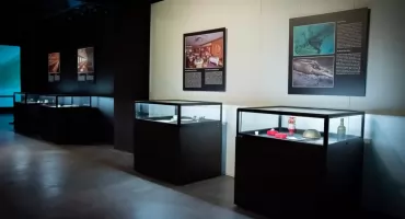 W cieniu gigantów – nowa wystawa czasowa w Hydropolis