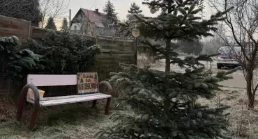 Choinka dla Nieobecnych. Przyjedź do Jar i powieś bombkę