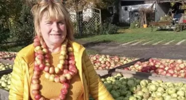 Pani Dorota i jej sad: jabłka, morele i pikniki