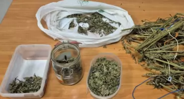 Awantura ucichła. Wtedy nastąpił nieoczekiwany zwrot akcji