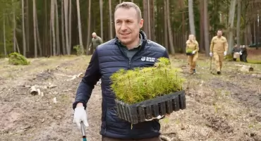Pszczoły pod ochroną regionu. Milion złotych dla pszczelarzy