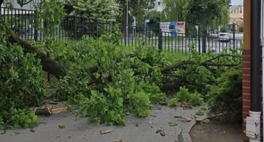 Spadł konar. Setki ludzi tędy przechodzą