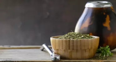 Yerba mate – naturalne wsparcie dla energii. Jak yerba wpływa na organizm?