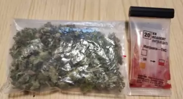 Pies znalazł marihuanę. Narkotykowy trop zakończył się zarzutem